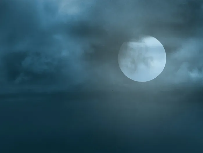 Evolve Counseling & Wellness